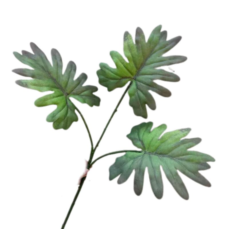 3头春羽