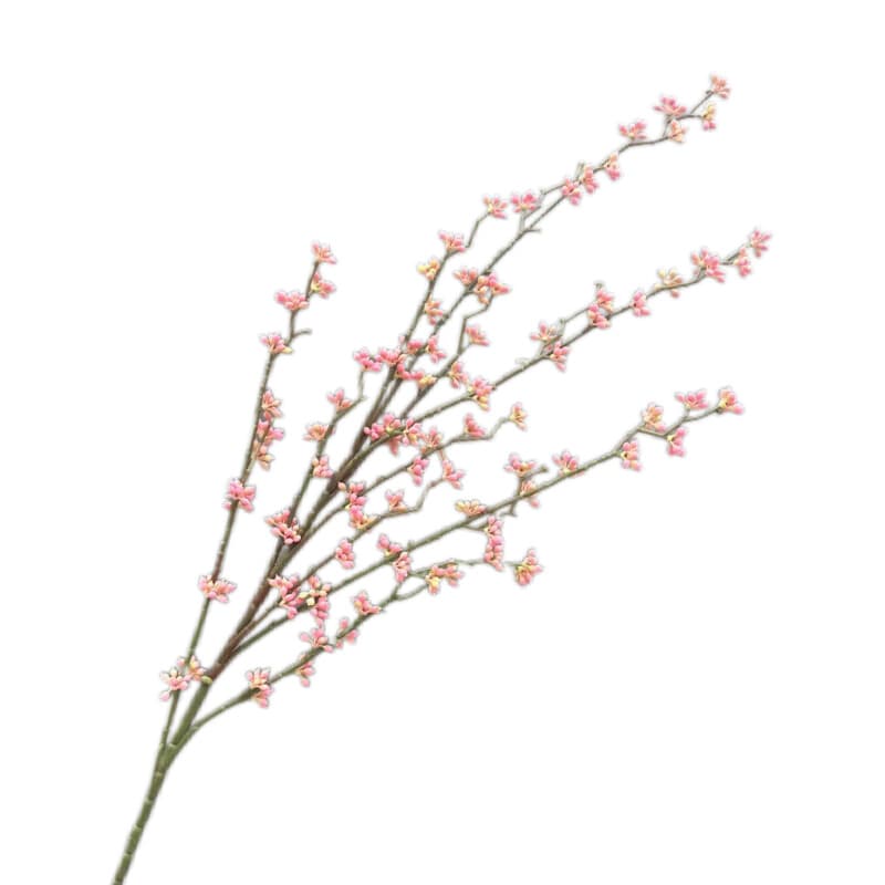 相思豆