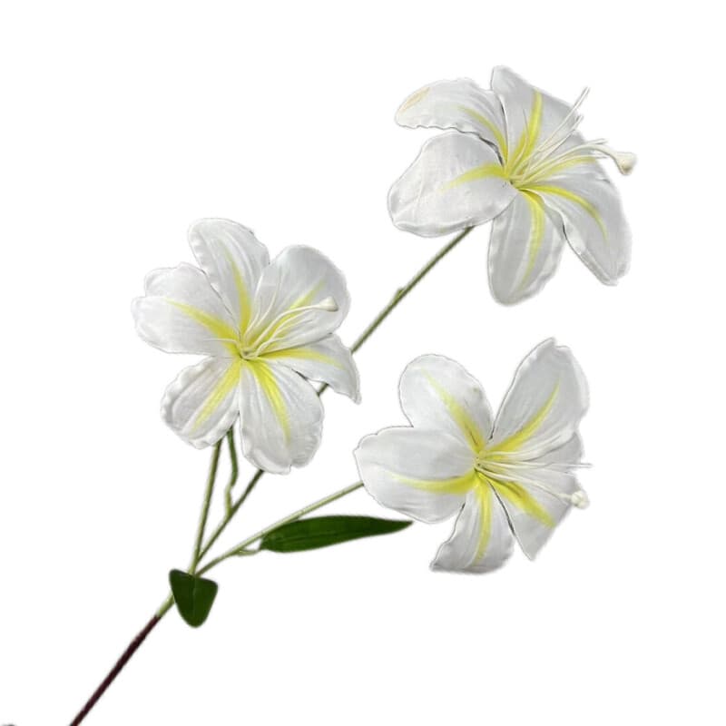 萱草百合