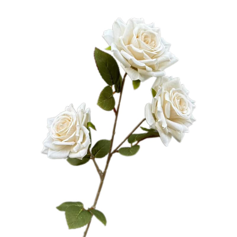印花玫瑰