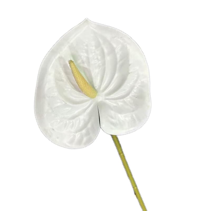 掌