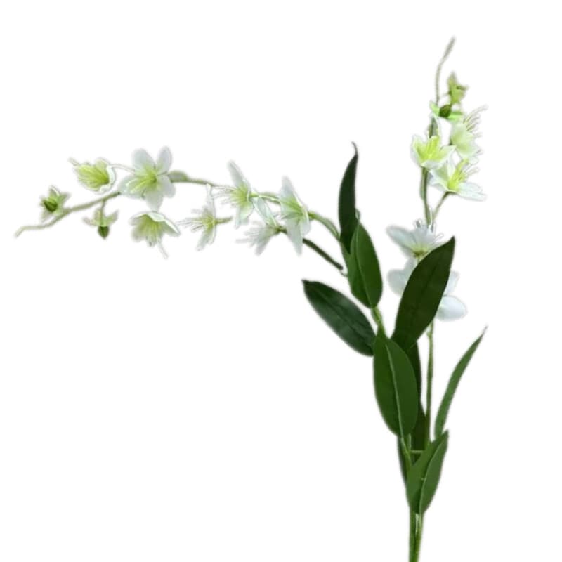 垂丝茉莉