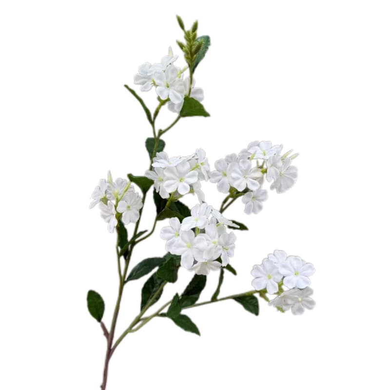 蓝雪花