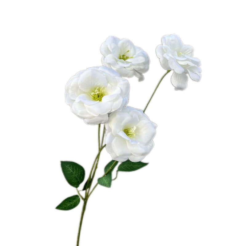 蝴蝶花
