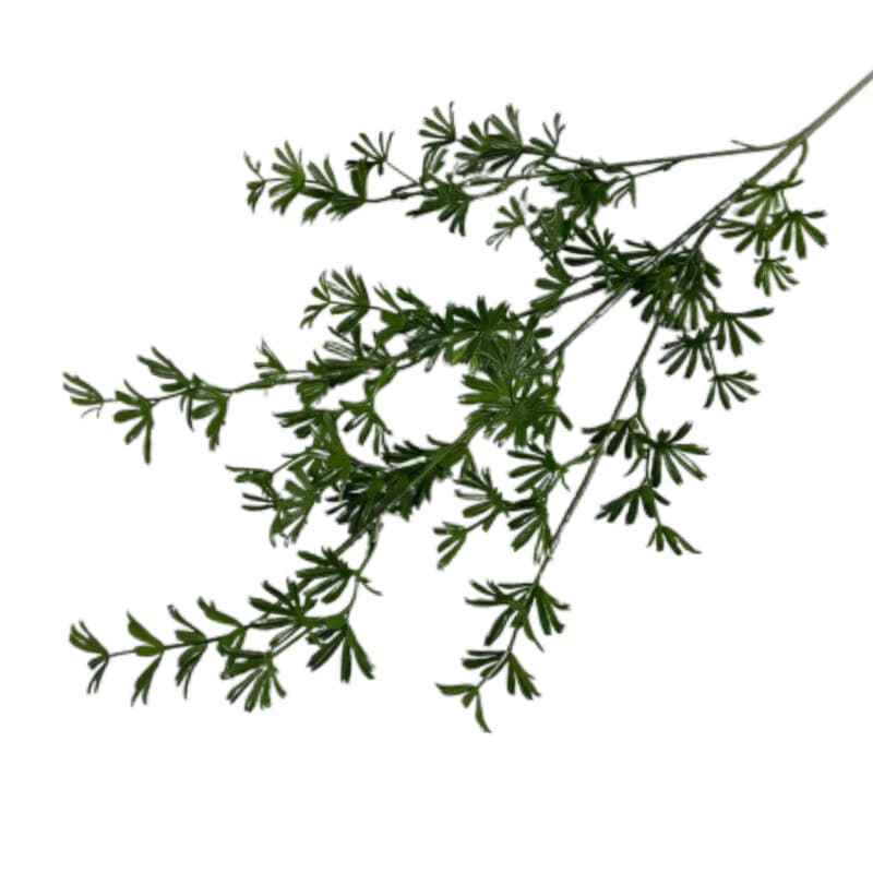四叶草