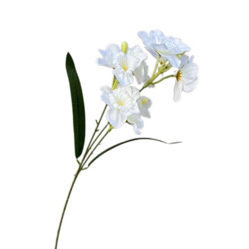水仙花
