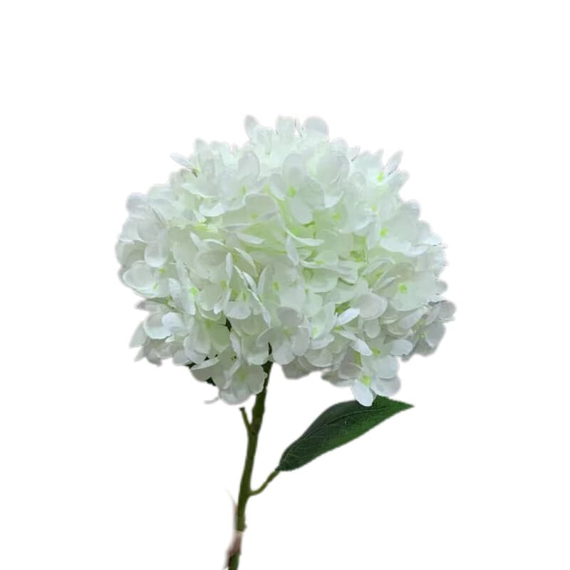 碎花绣球