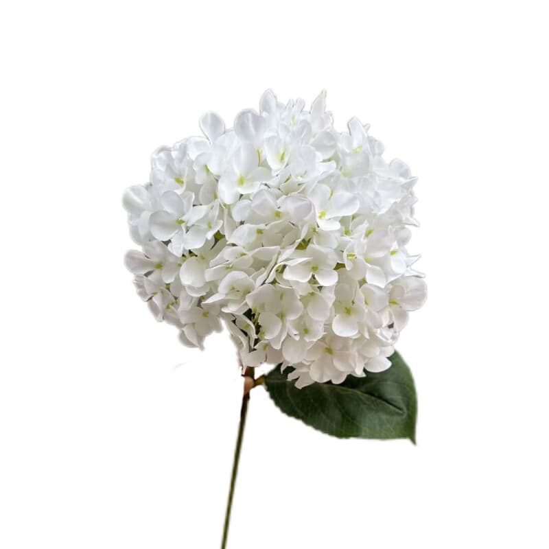 碎花大绣球