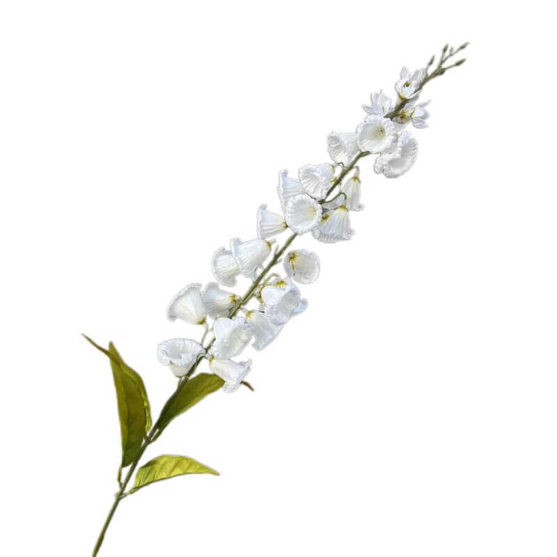 风铃花