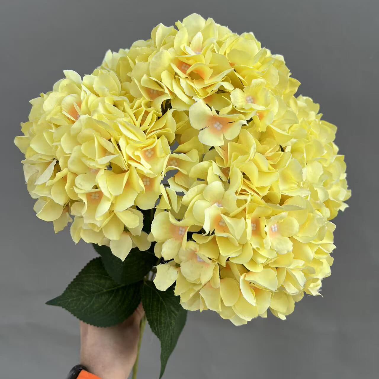 把束碎花绣球 · 黄色把束碎花绣球