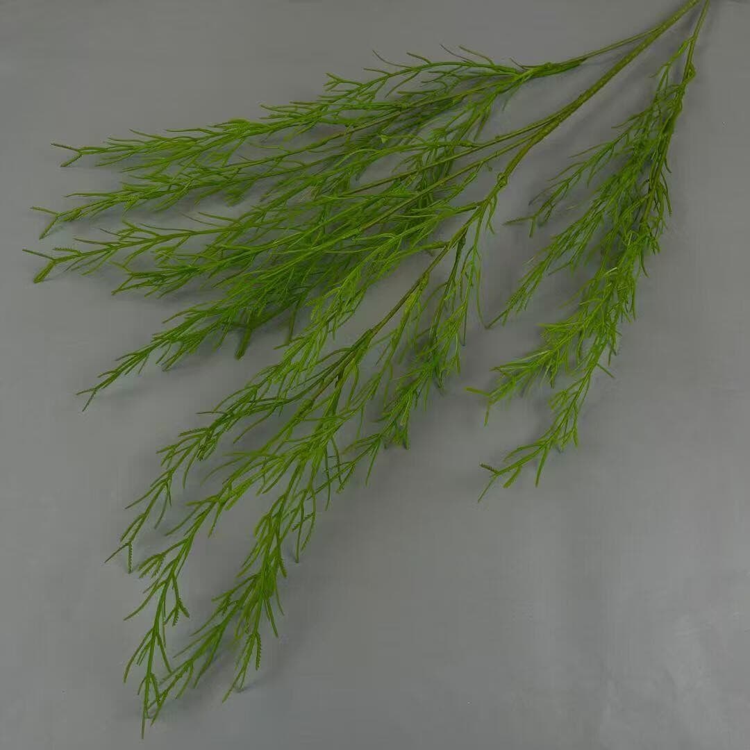 芦荀草 · 绿色芦荀草