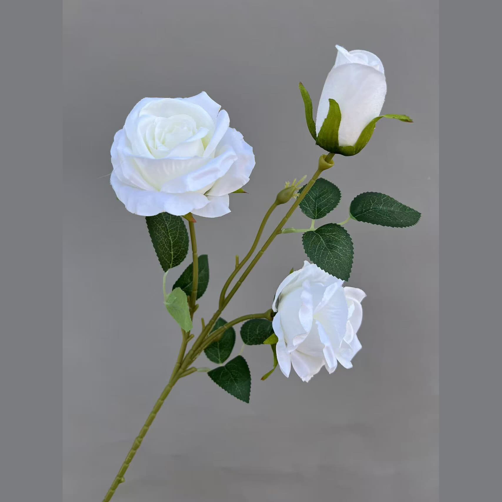 2头带苞玫瑰 · 白色2头带苞玫瑰