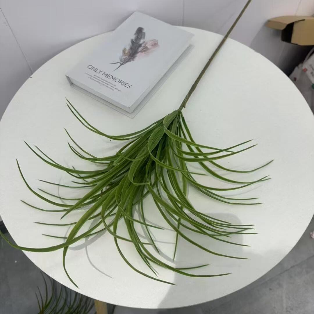 龙血草 · 绿色龙血草