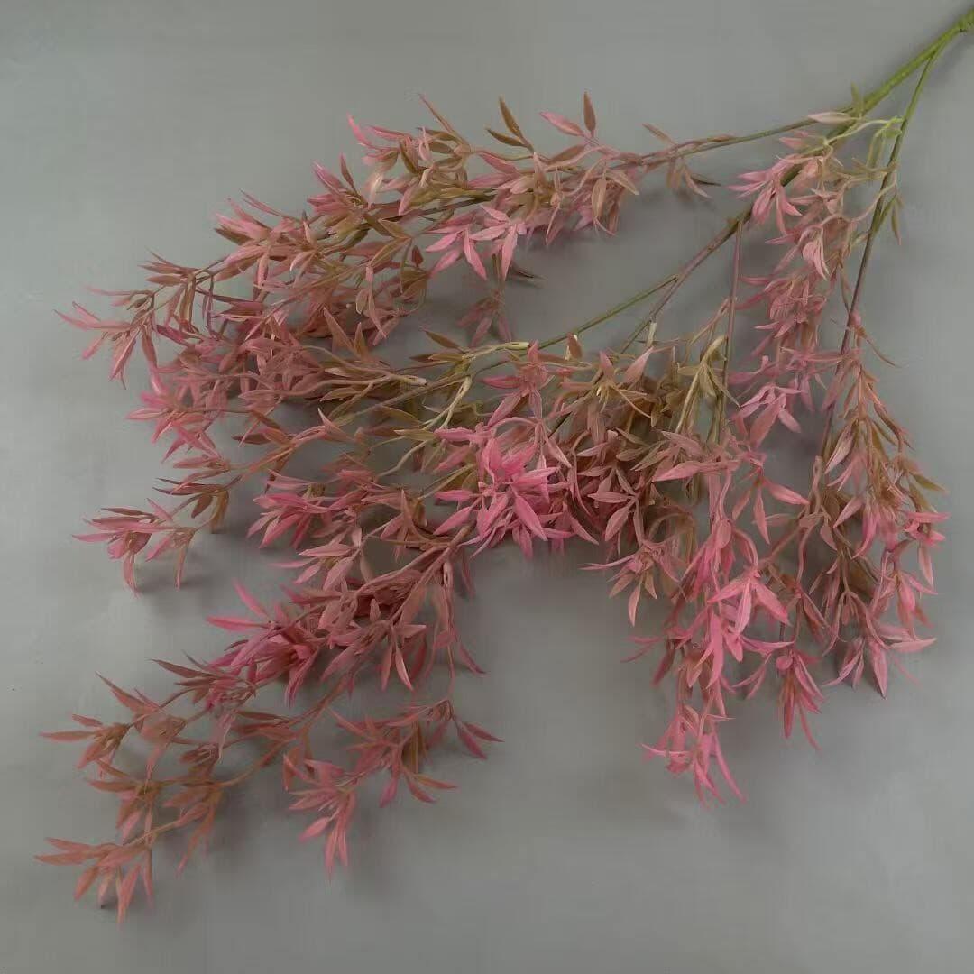南天竹 · 粉色南天竹