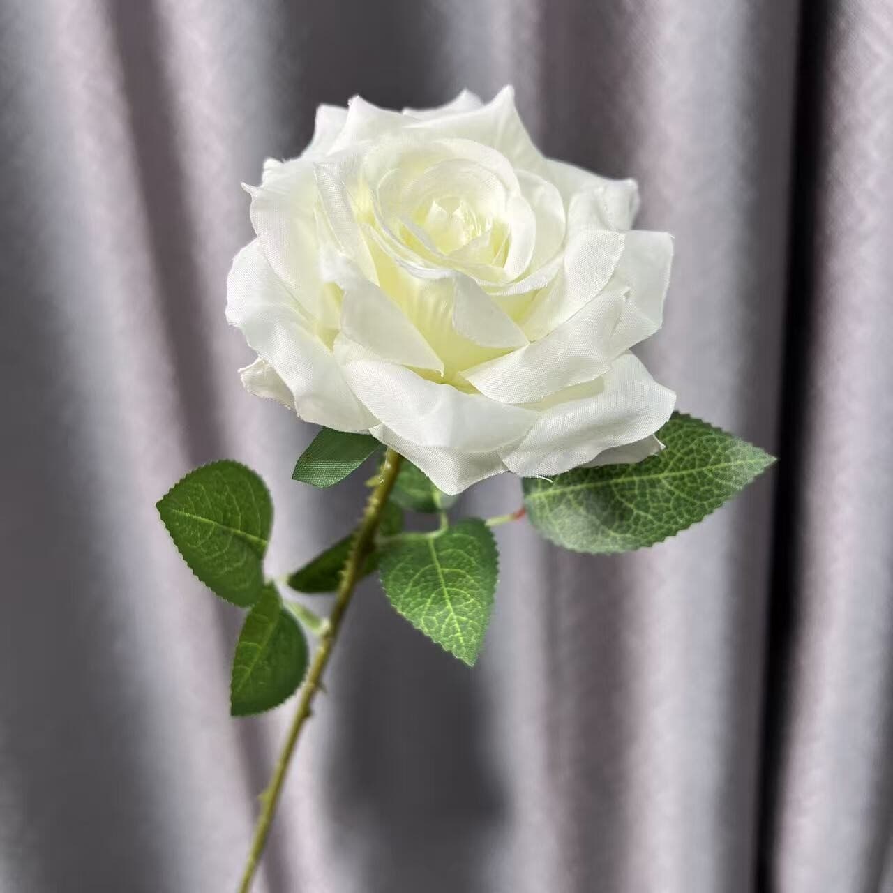 单头钻石玫瑰 · 白色单头钻石玫瑰