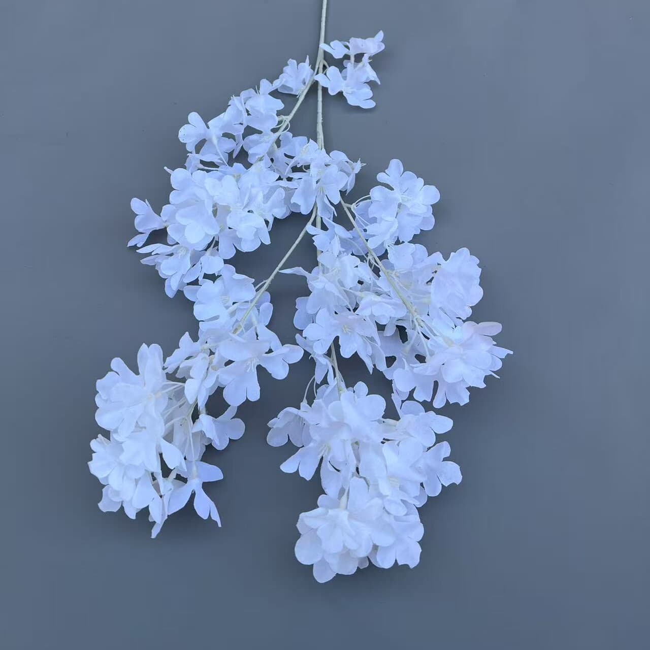 飘雪樱花 · 白色飘雪樱花