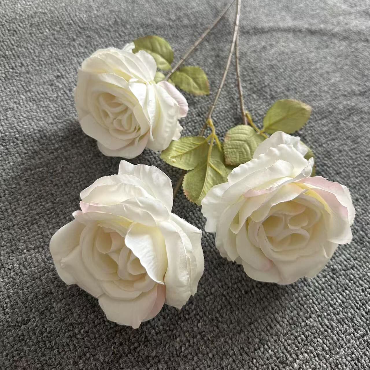 卷芯玫瑰 · 白色卷芯玫瑰