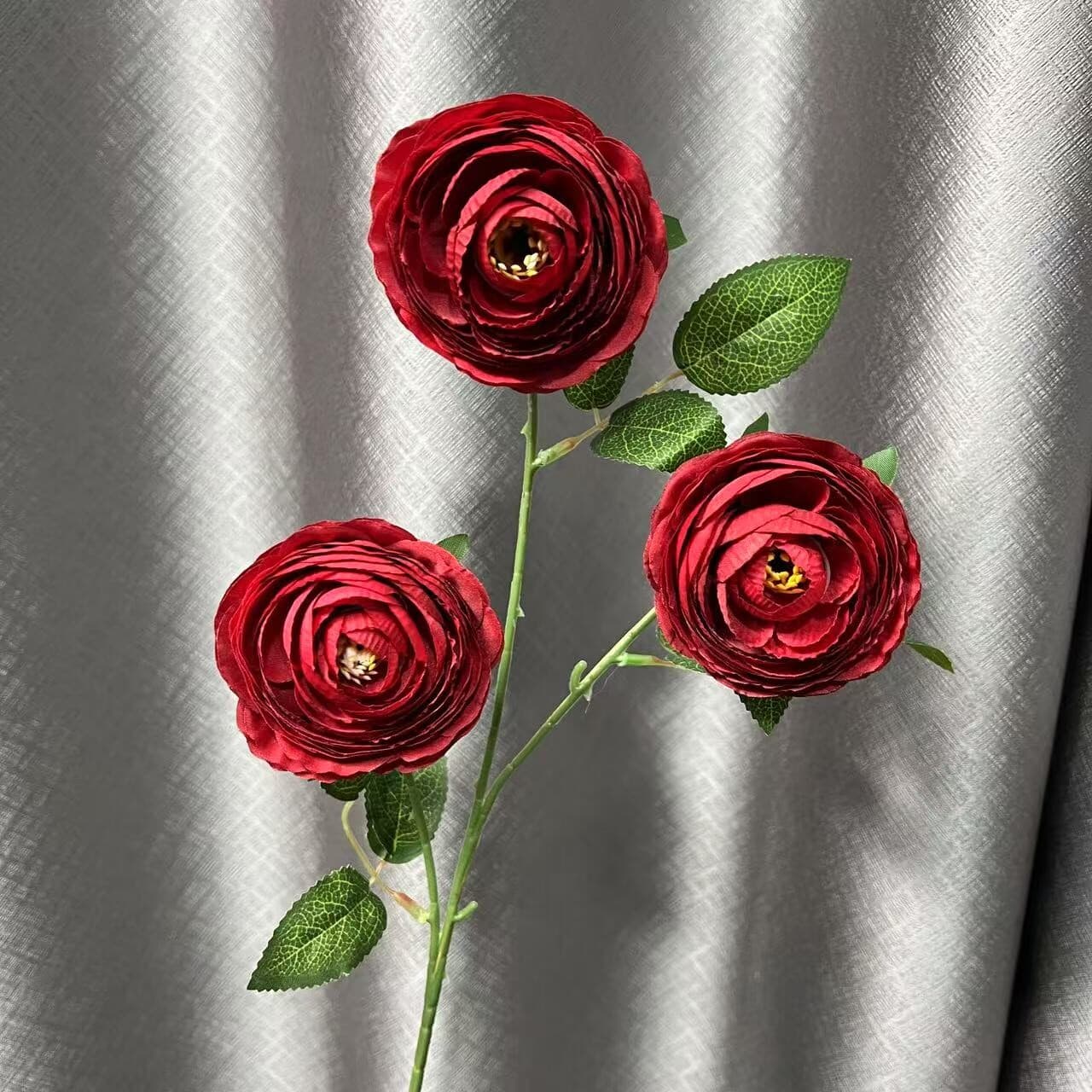 千层露莲 · 红色千层露莲