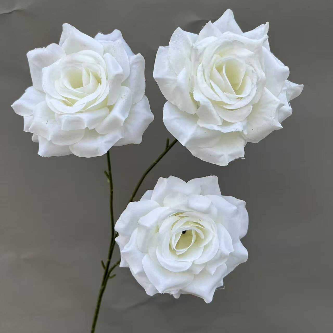 角玫 · 白色角玫