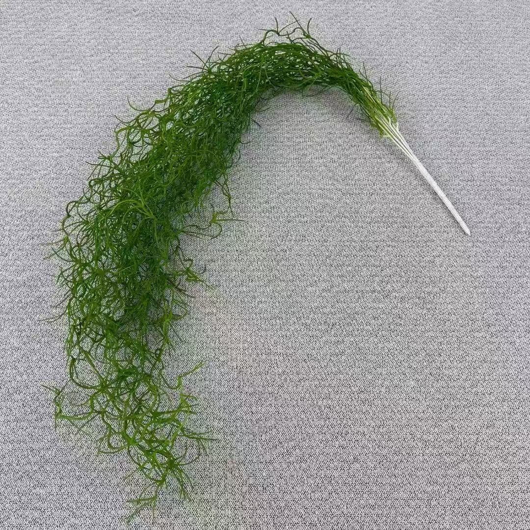 空气草 · 绿色空气草