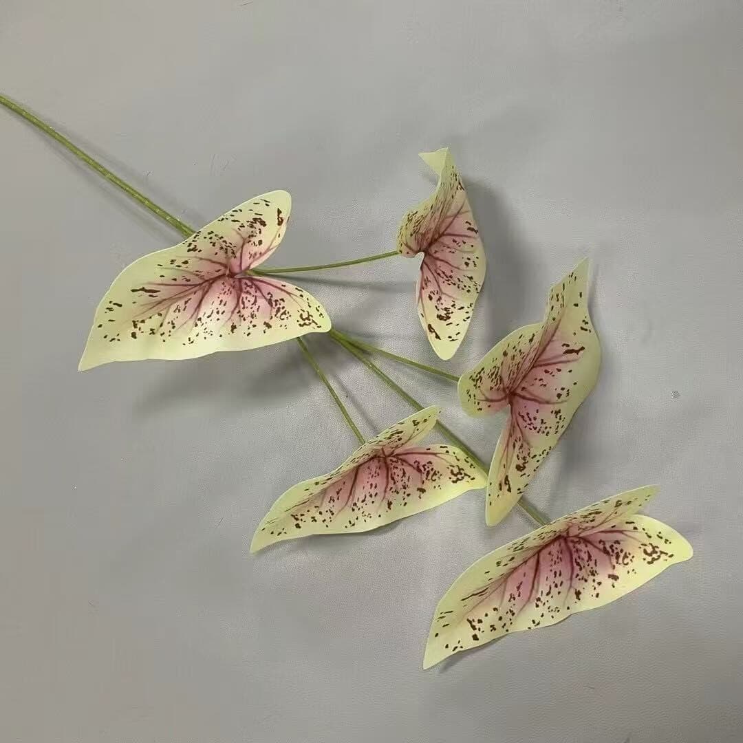 彩芋叶 · 款式一彩芋叶