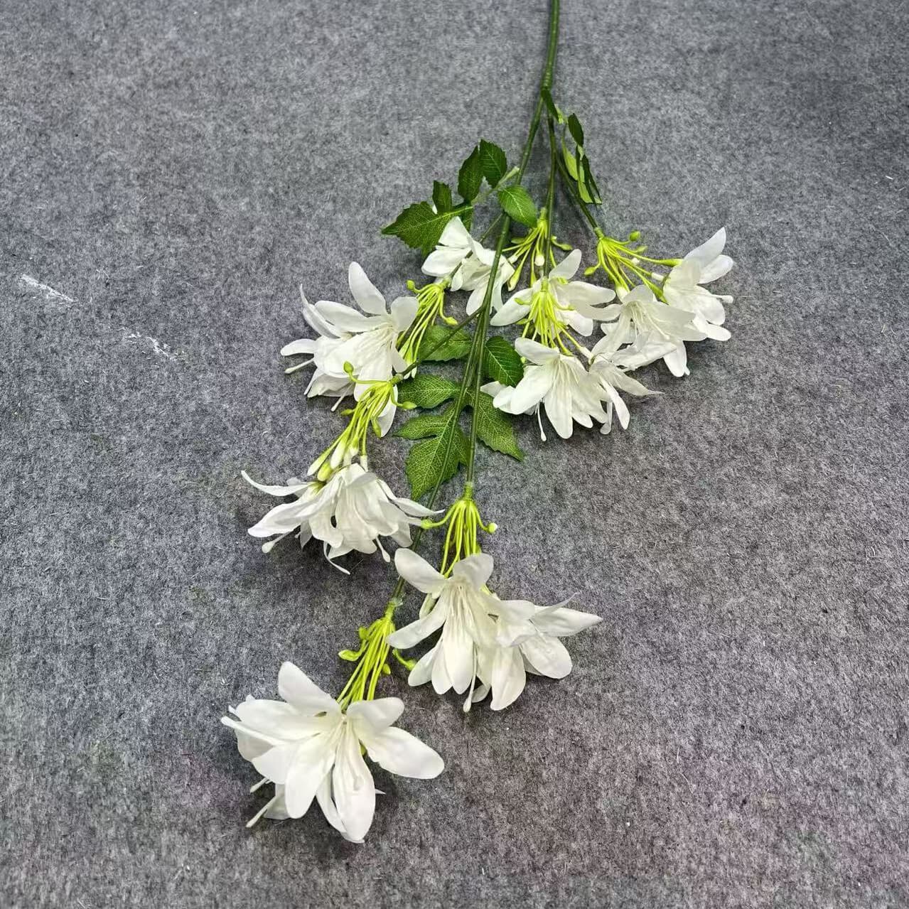 炮仗花 · 白色炮仗花