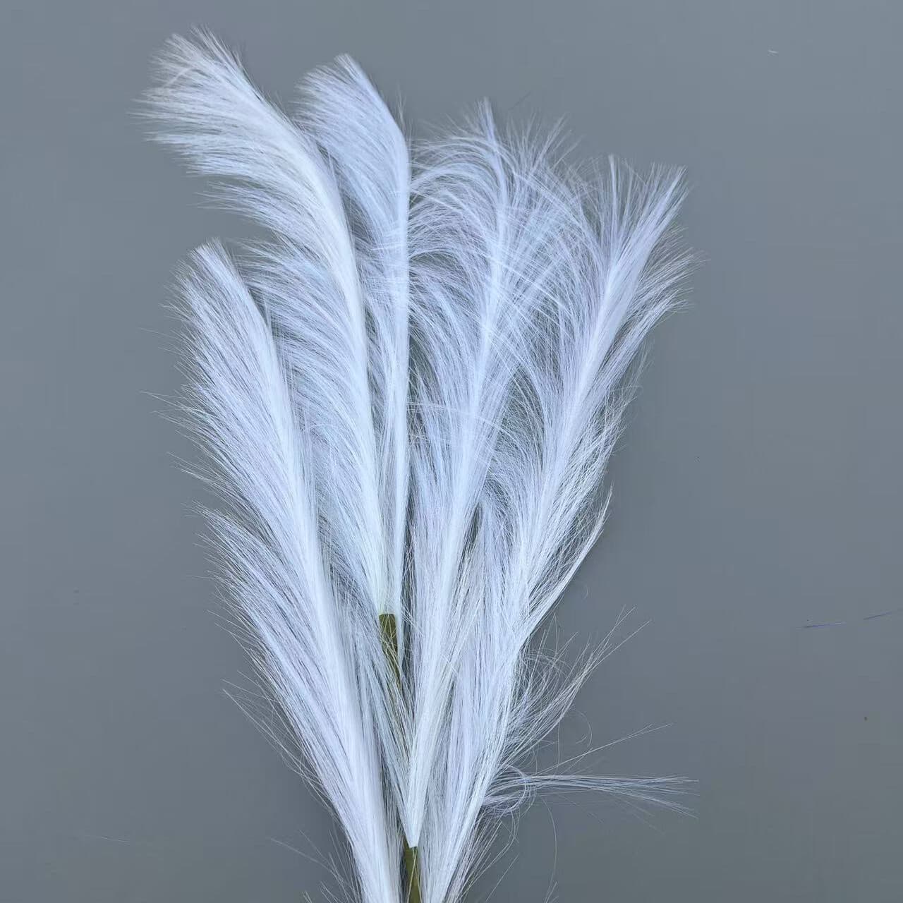 5叉芦苇羽毛草 · 白色5叉芦苇羽毛草