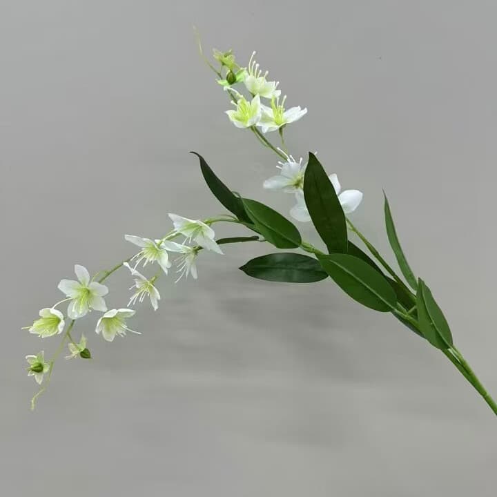 垂丝茉莉 · 白色垂丝茉莉