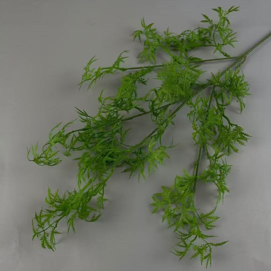 鸡爪草 · 绿色鸡爪草