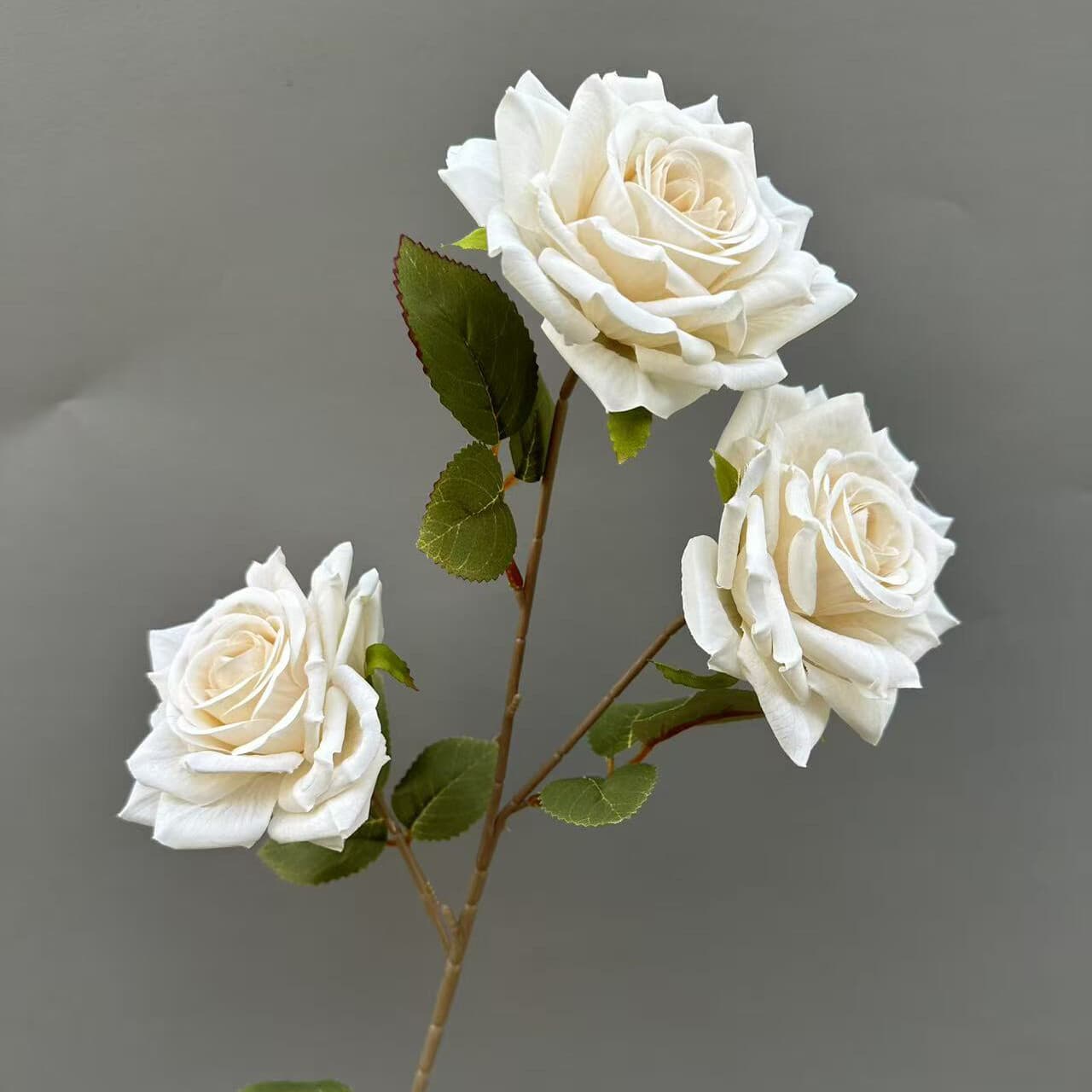 印花玫瑰 · 白色印花玫瑰