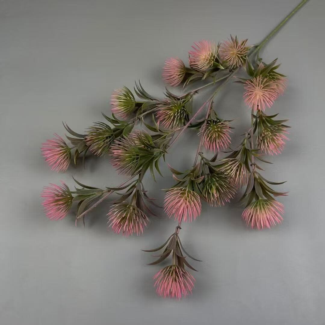 珍珠果 · 粉色珍珠果