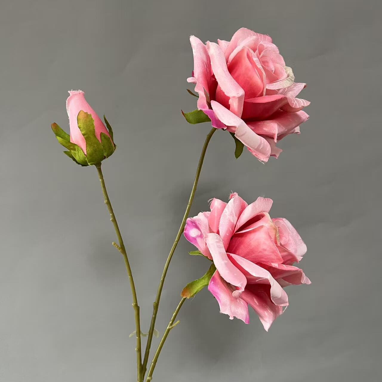 油画玫瑰 · 粉色油画玫瑰