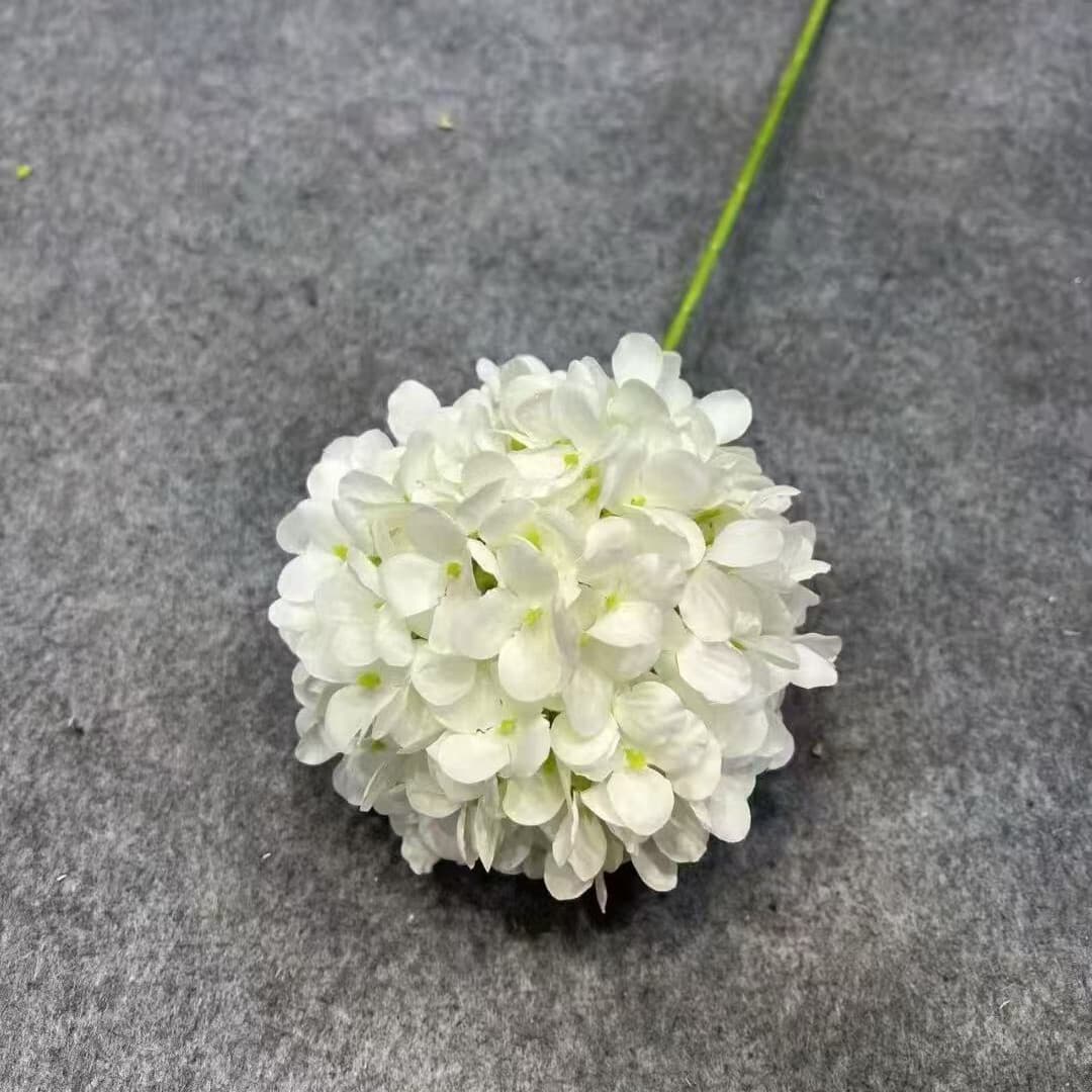 棒棒糖绣球 · 白色棒棒糖绣球