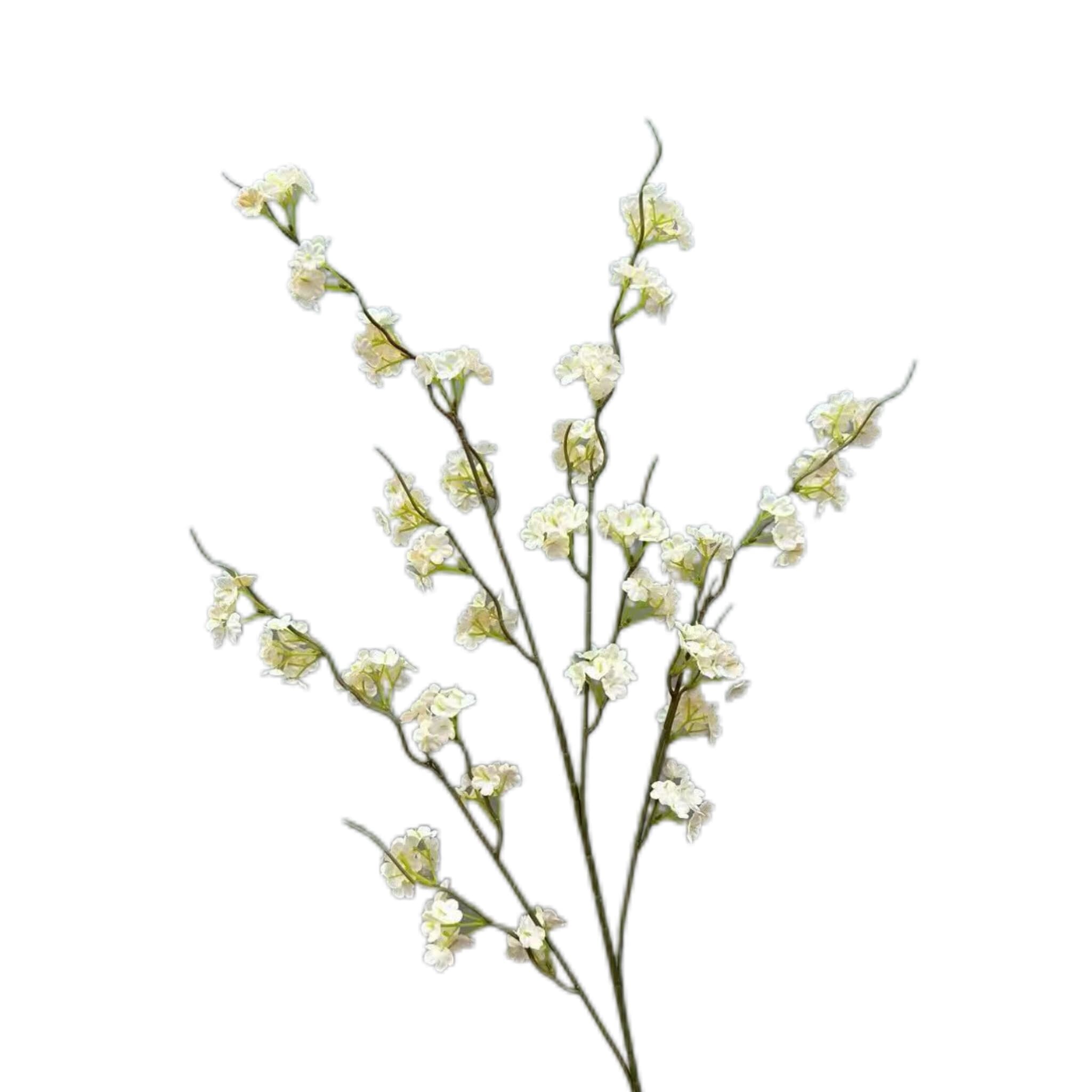 高枝小樱花
