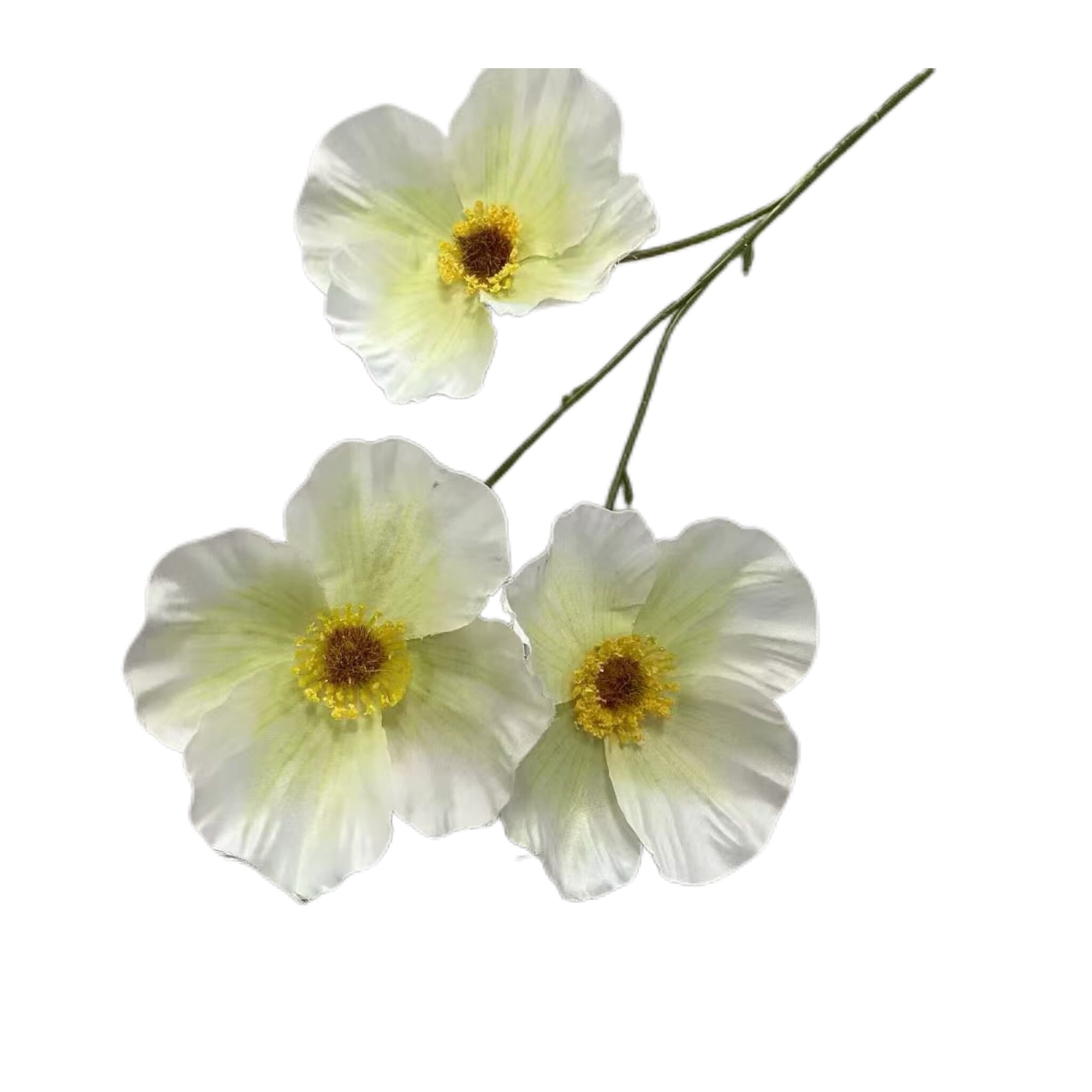 小蝴蝶花