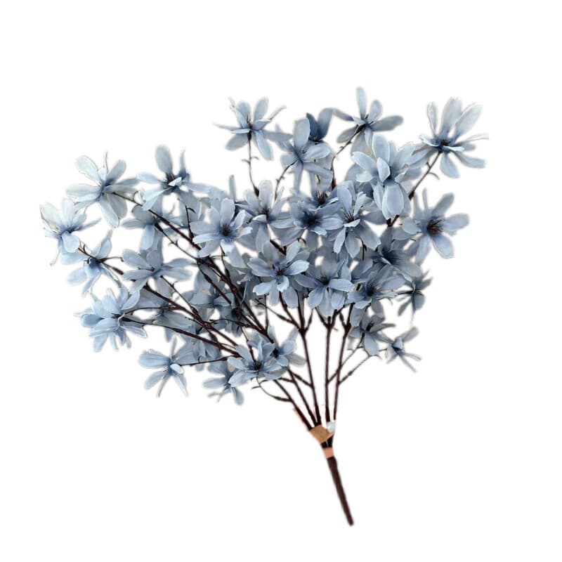 把束心悦花
