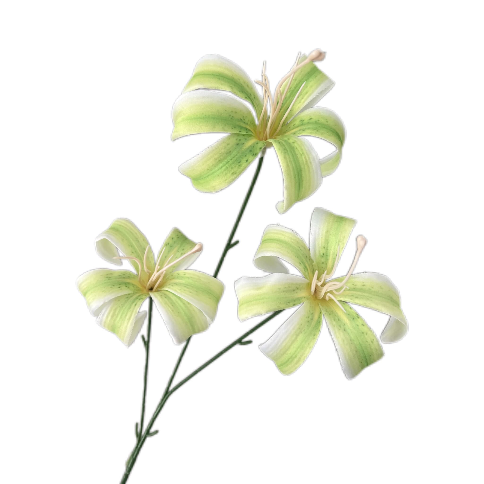3头金百合