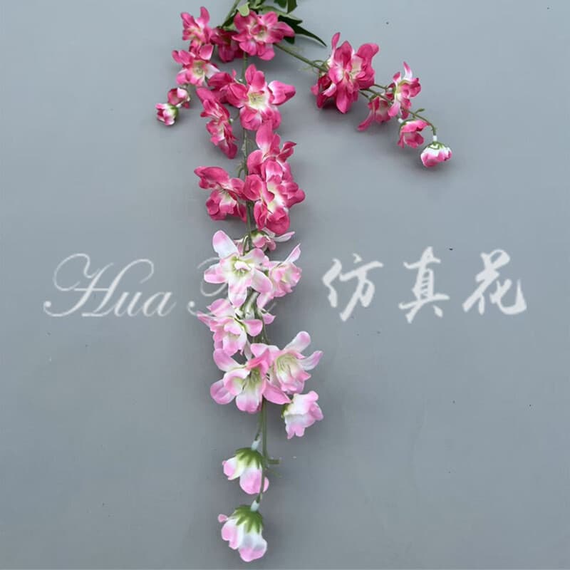 3叉飞燕草 · 玫红粉3叉飞燕草