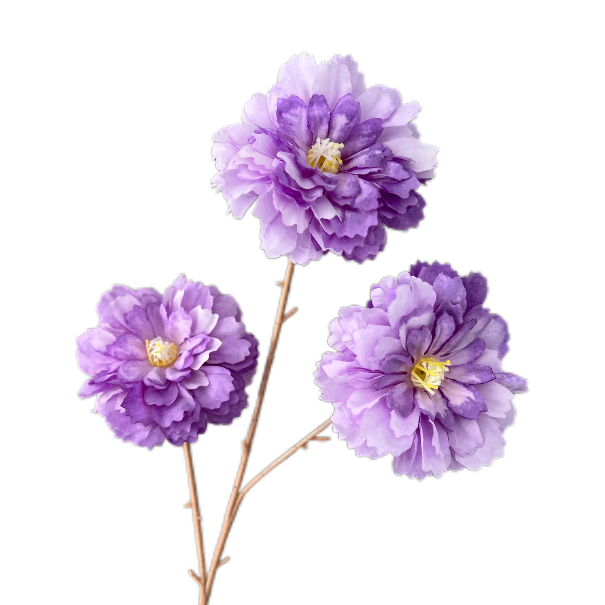 锦鲤牡丹
