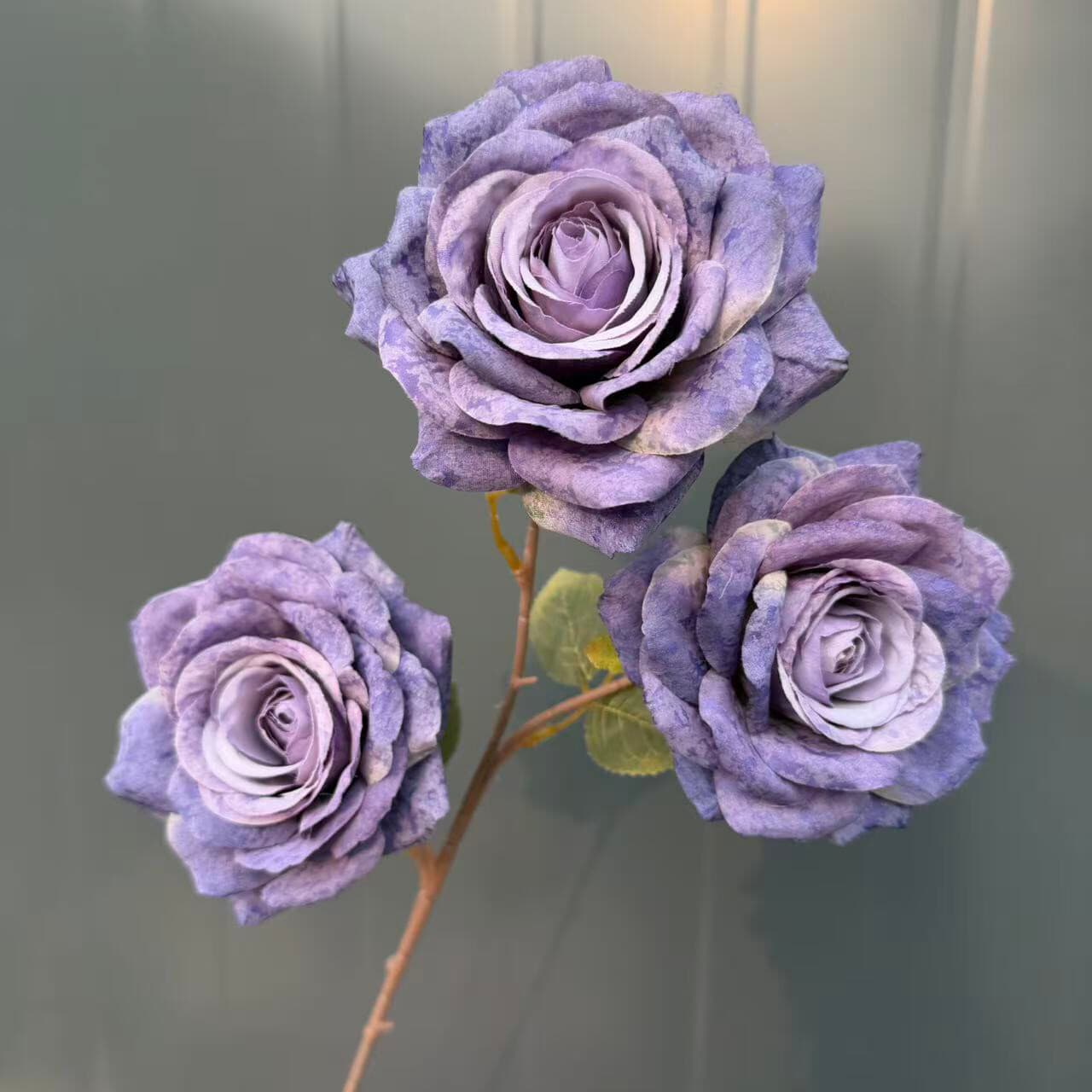 雪花玫瑰 · 梦幻紫雪花玫瑰