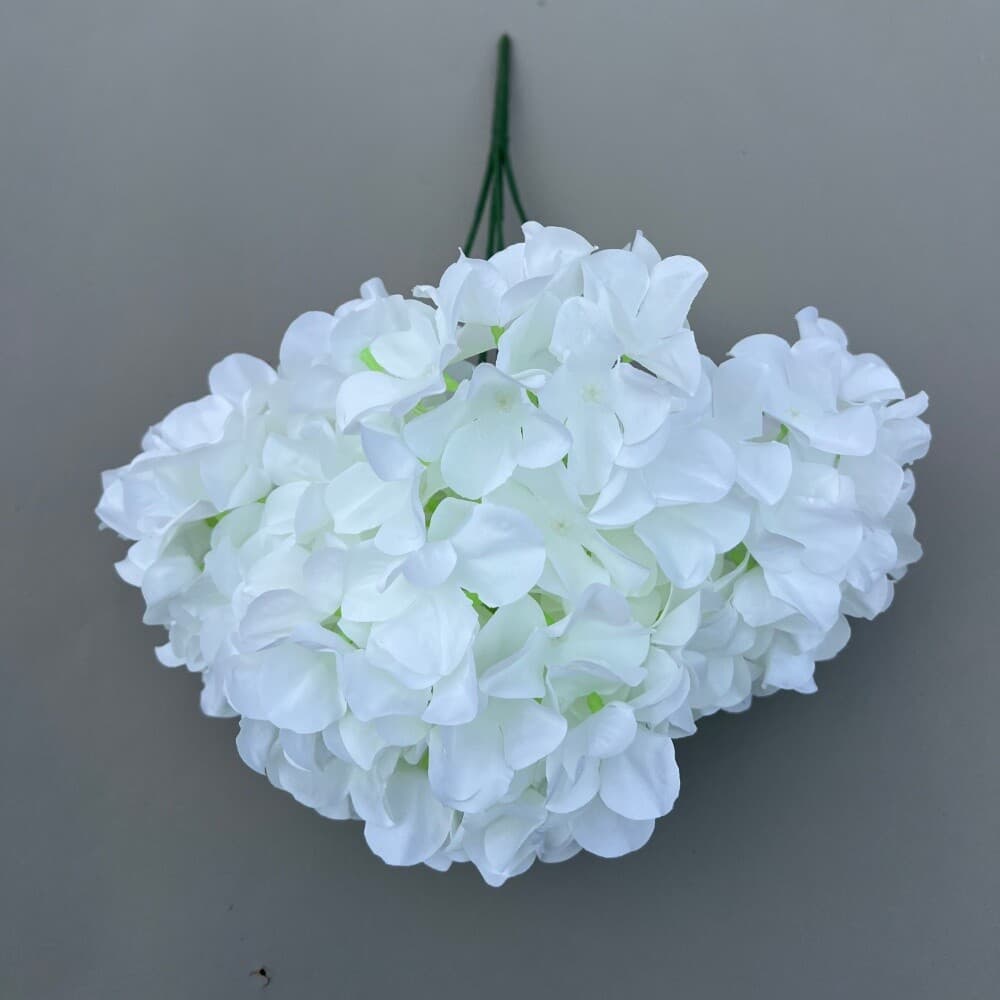 把束绣球 · 白色把束绣球
