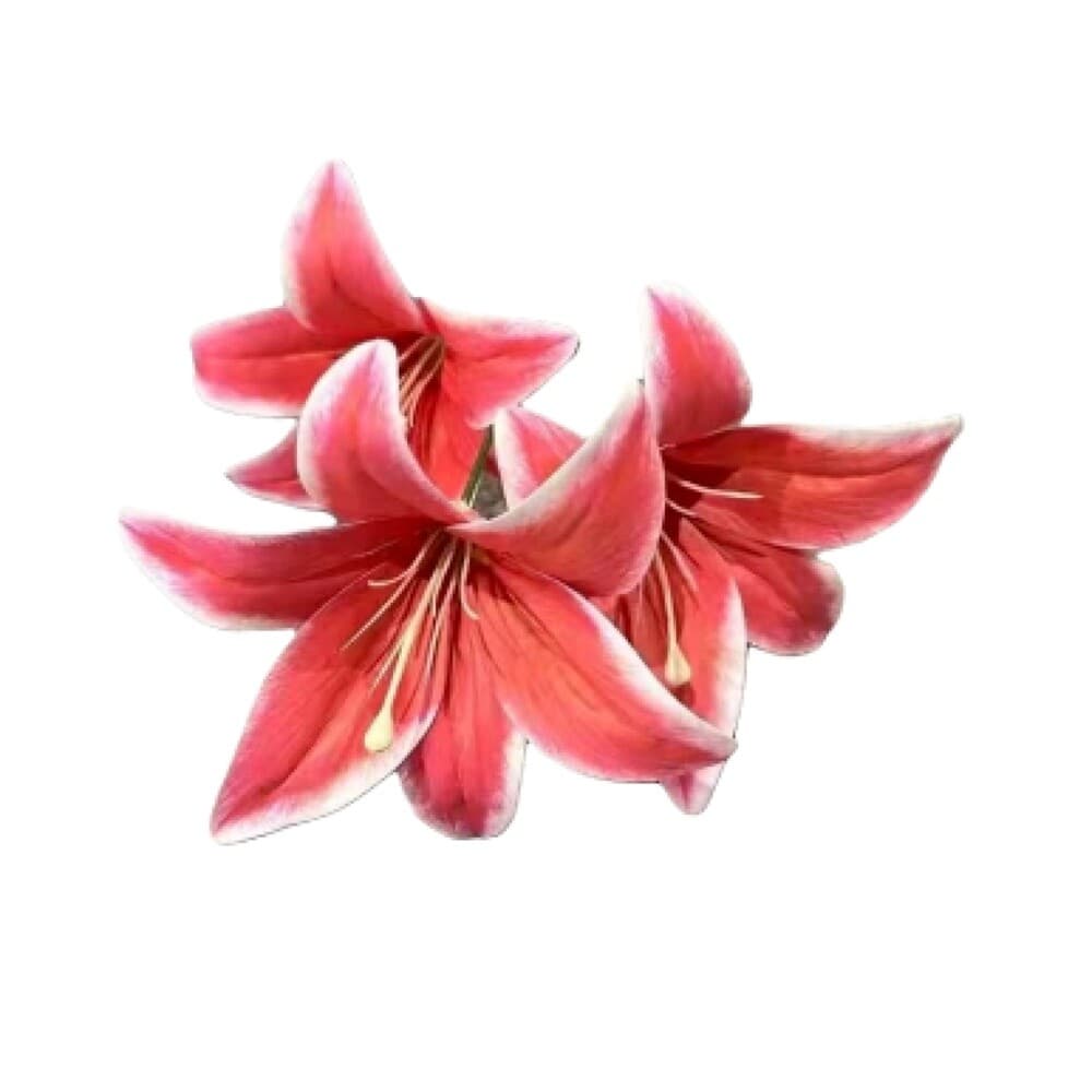 百合